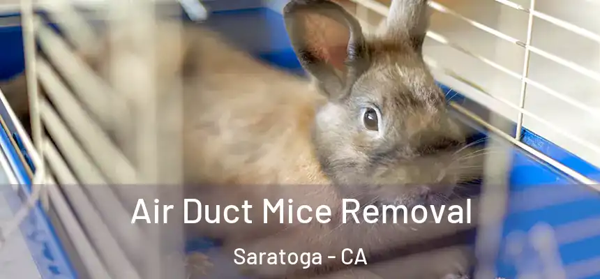  Air Duct Mice Removal Saratoga - CA