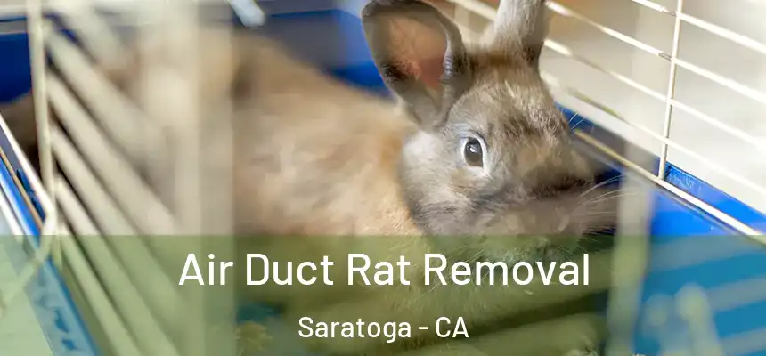  Air Duct Rat Removal Saratoga - CA