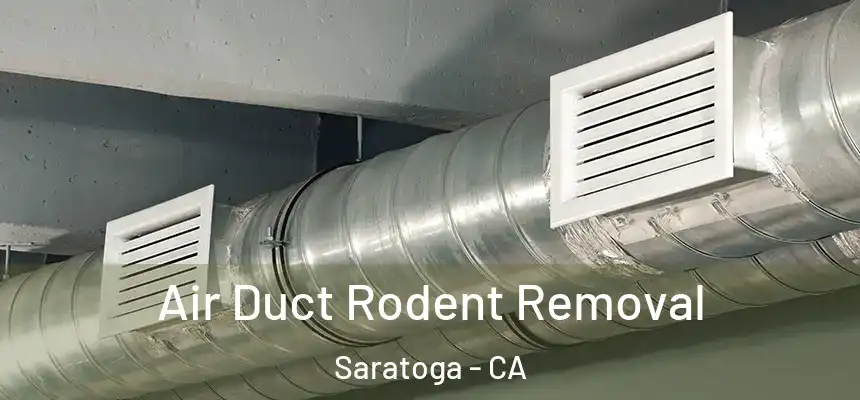  Air Duct Rodent Removal Saratoga - CA