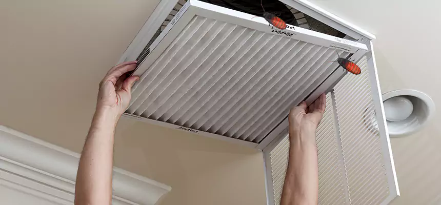 Preventive Cockroach-Proofing for Ducts in Saratoga