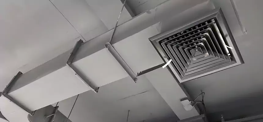 Restorative Allergy Relief Vent Cleaning – Coil, Blower & Housing Detail in Saratoga