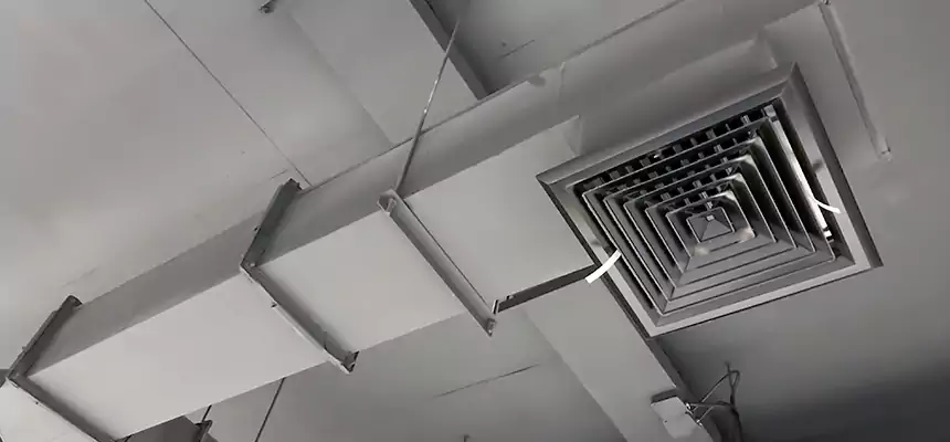 Our Rodent Droppings In Vents Services in Saratoga, CA