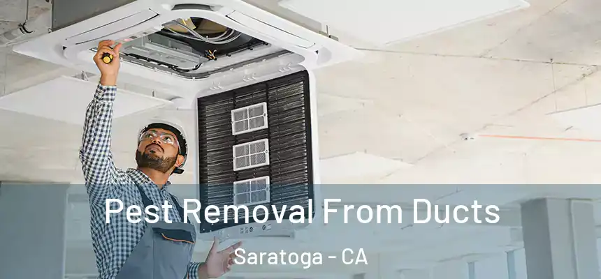  Pest Removal From Ducts Saratoga - CA
