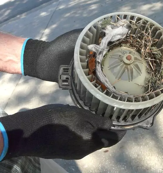 About Air Duct Mice Removal in Saratoga, CA