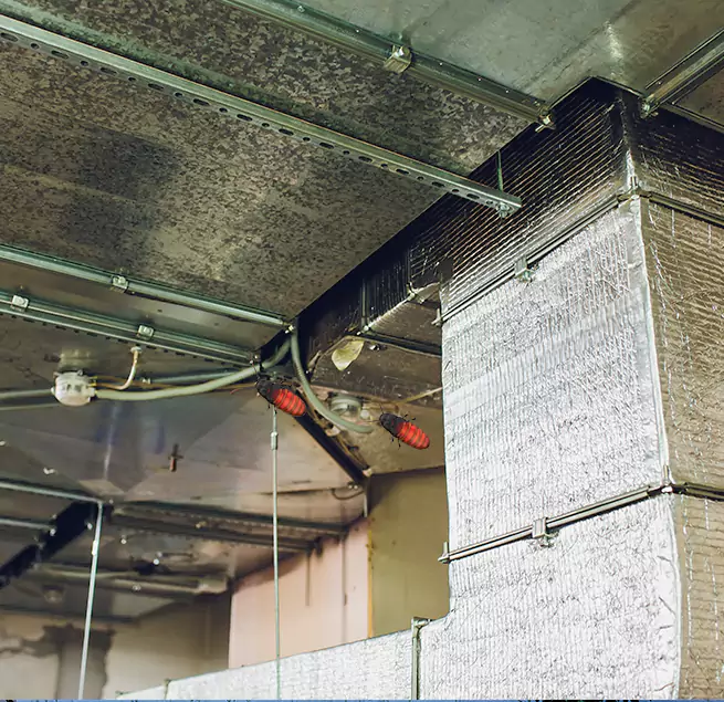 Why Homeowners & Businesses Trust Us in Saratoga, CA?