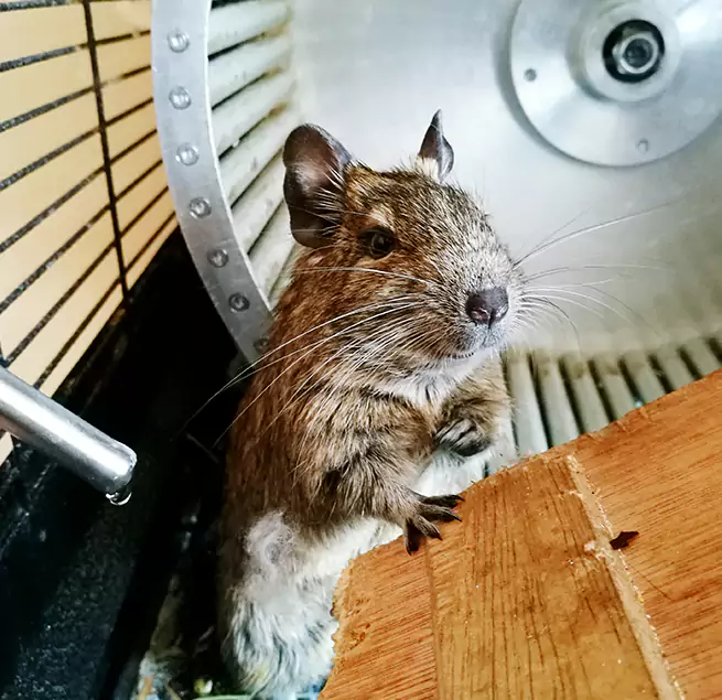 Why Homeowners & Businesses Trust Us Saratoga, CA?