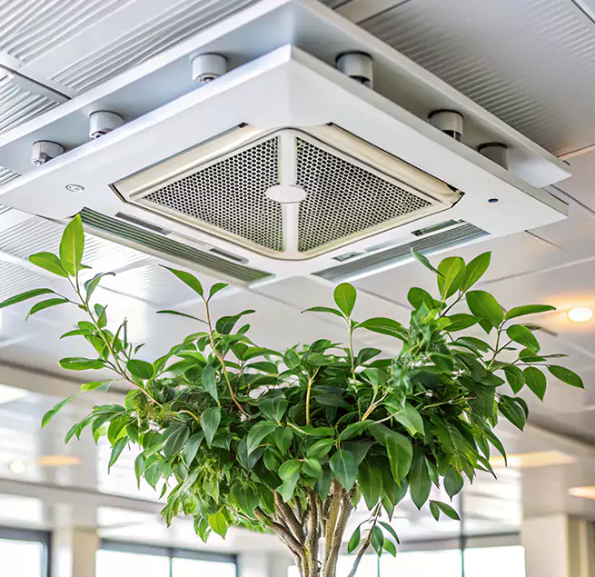 Why Homeowners & Businesses Trust Us in Saratoga, CA?